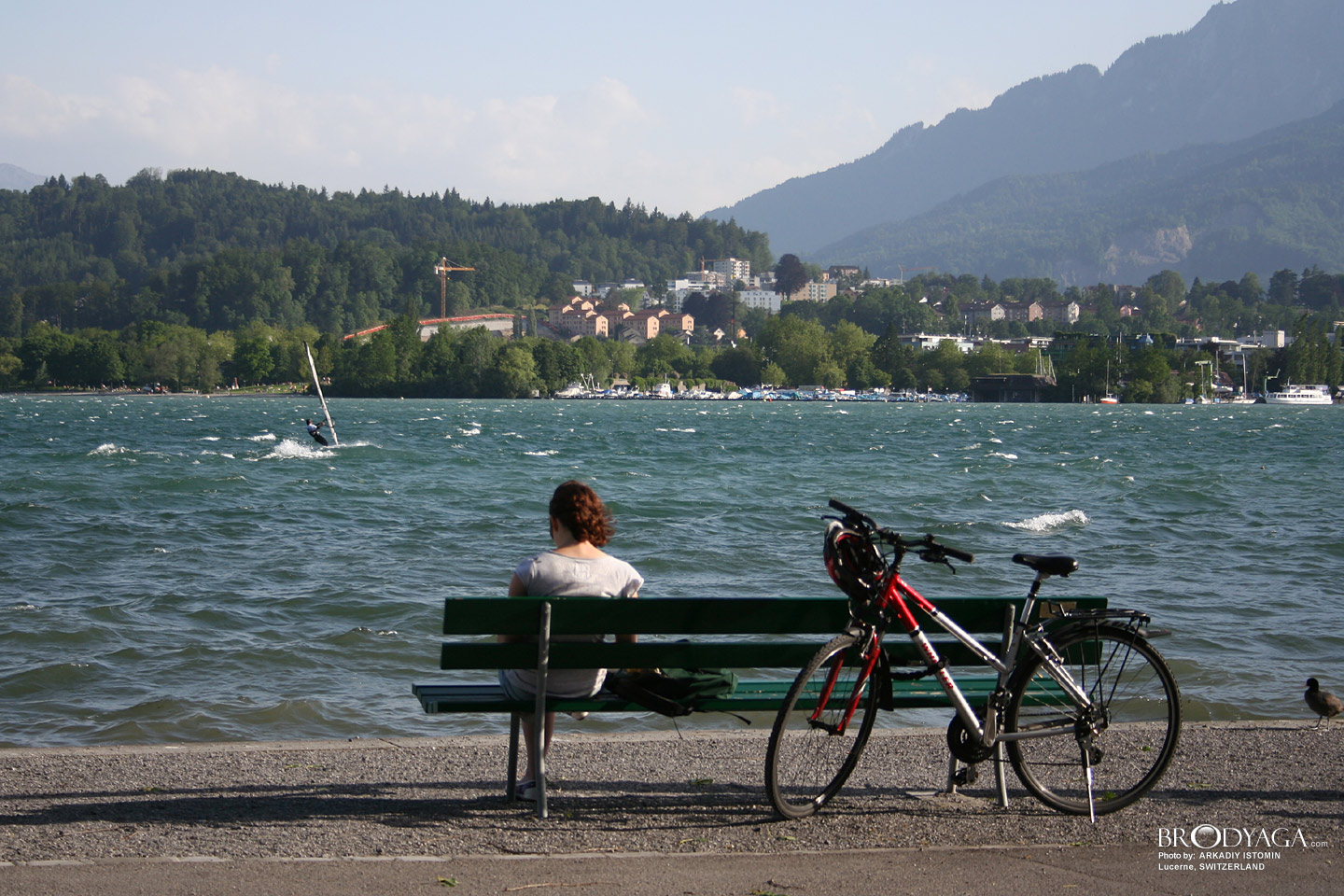 Lucerne